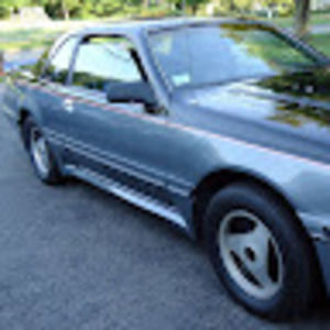 Meet your Posher, Marlene